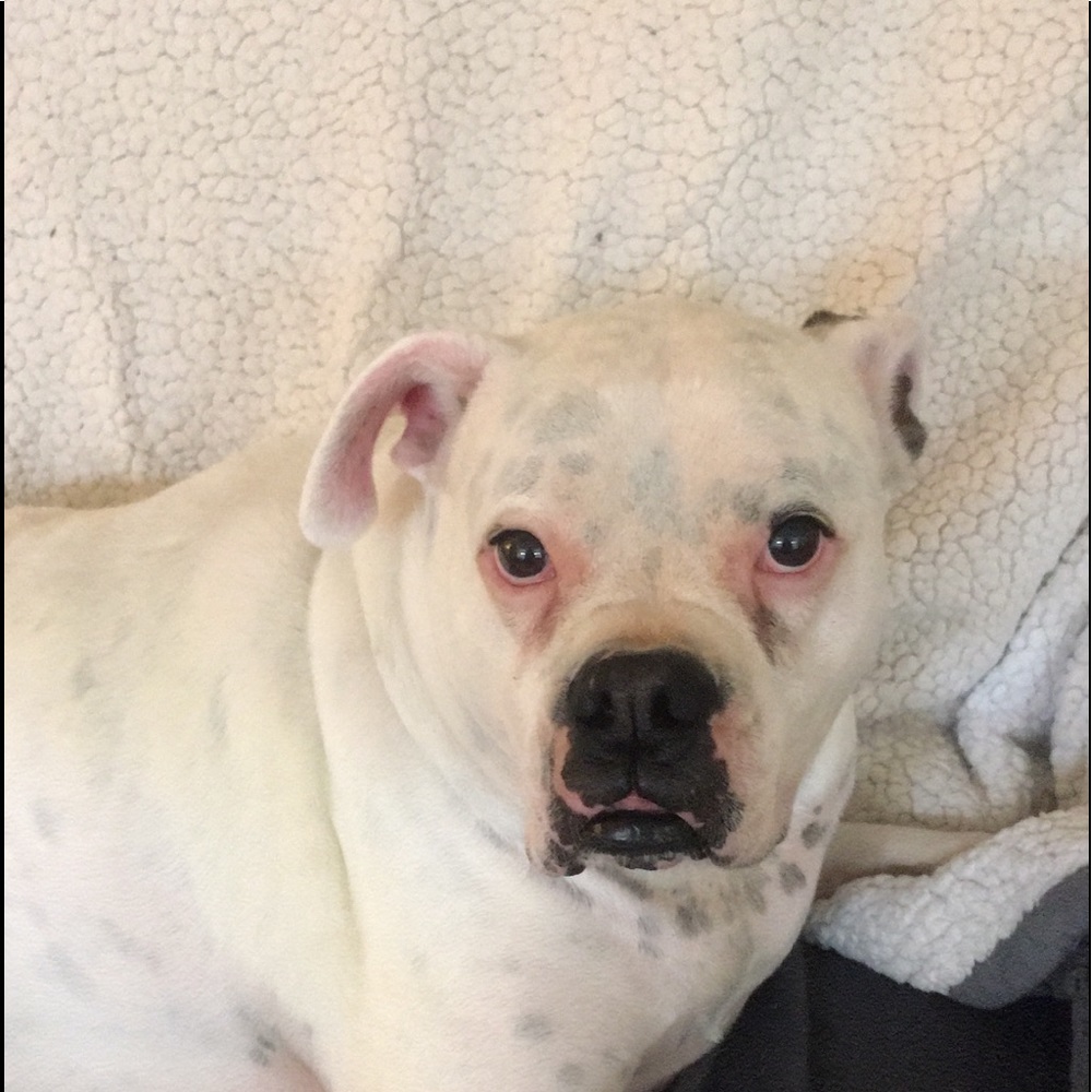 Meet your Posher, Jenn.